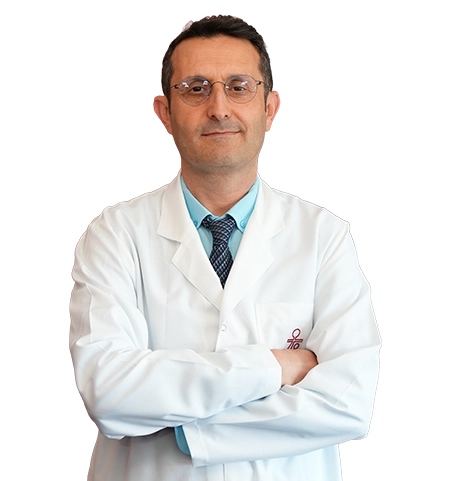 Dosya:Prof. Dr. Güzelali Özdemir kopya.jpg